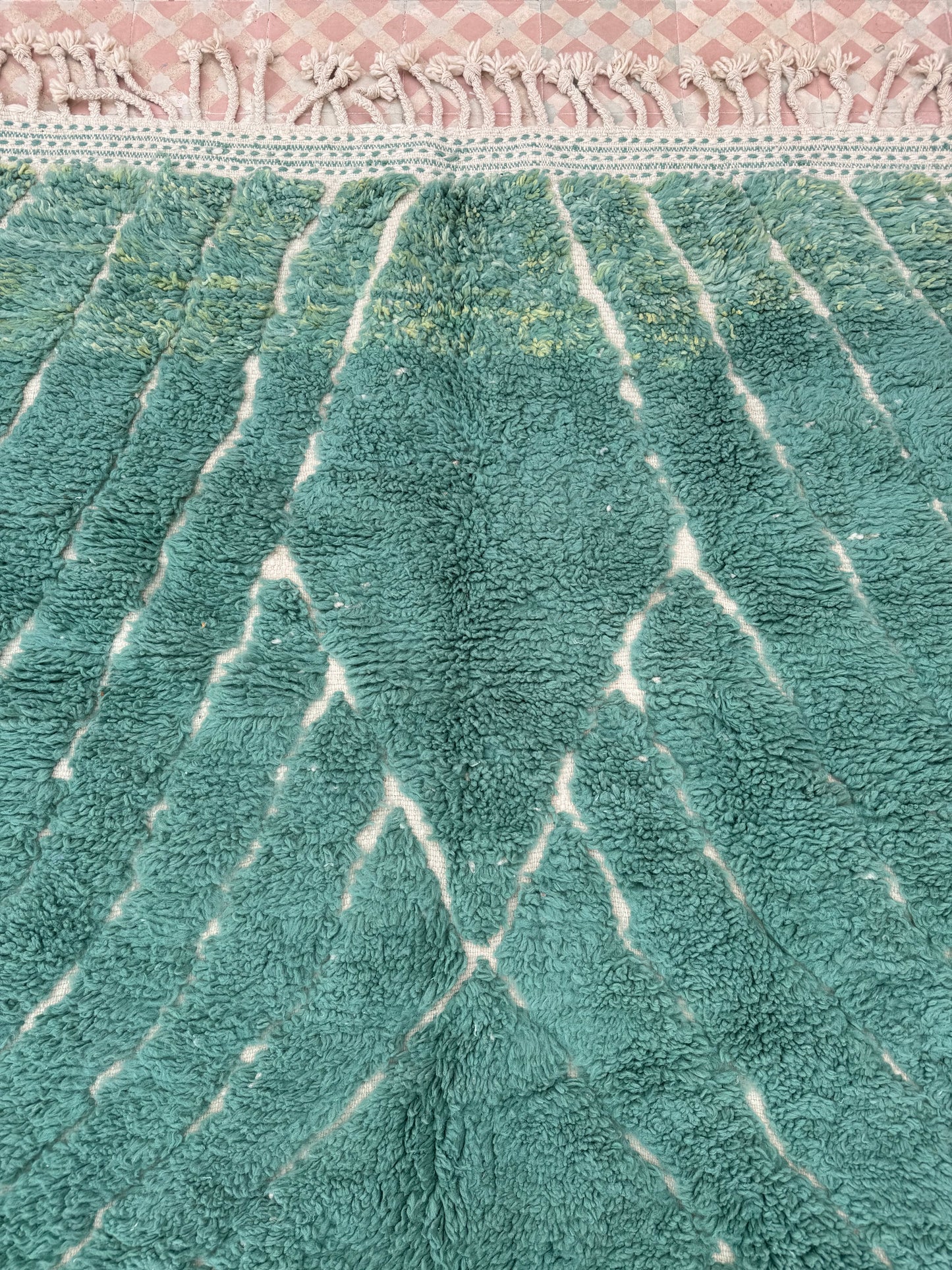 Berber carpet Béni Ouarain Modern Almond Green- 290 x 215 cm