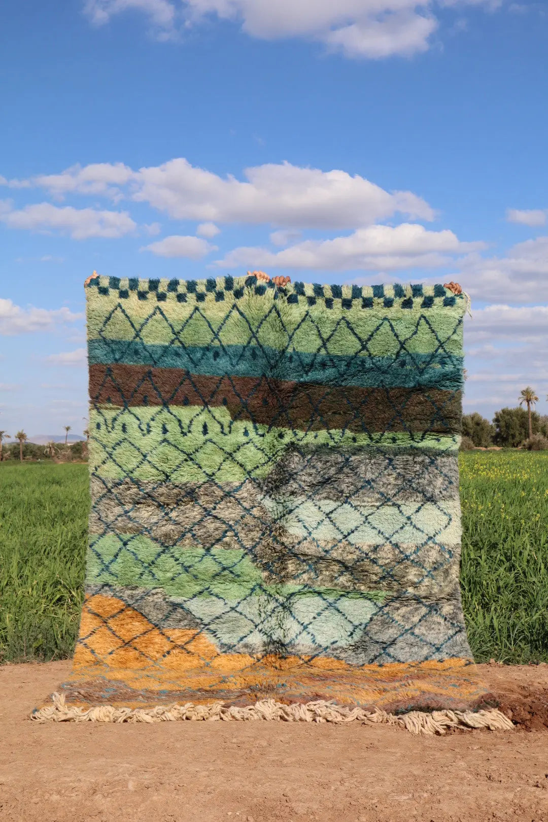 Tapis Berbère Tableau Multicolore Béni Ouarain Qualité Supérieure - 180 x 250 cm Néda