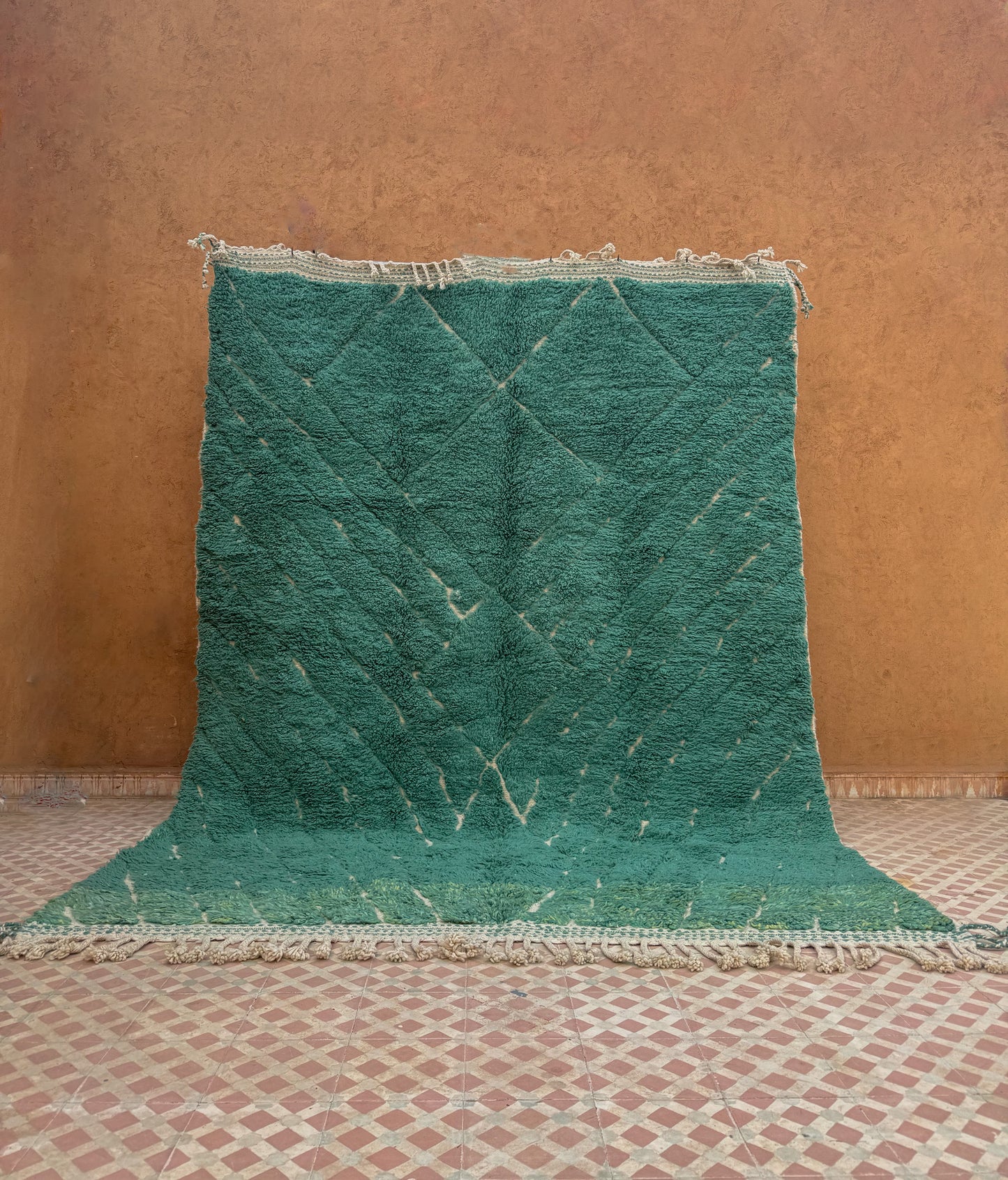 Berber carpet Béni Ouarain Modern Almond Green- 290 x 215 cm